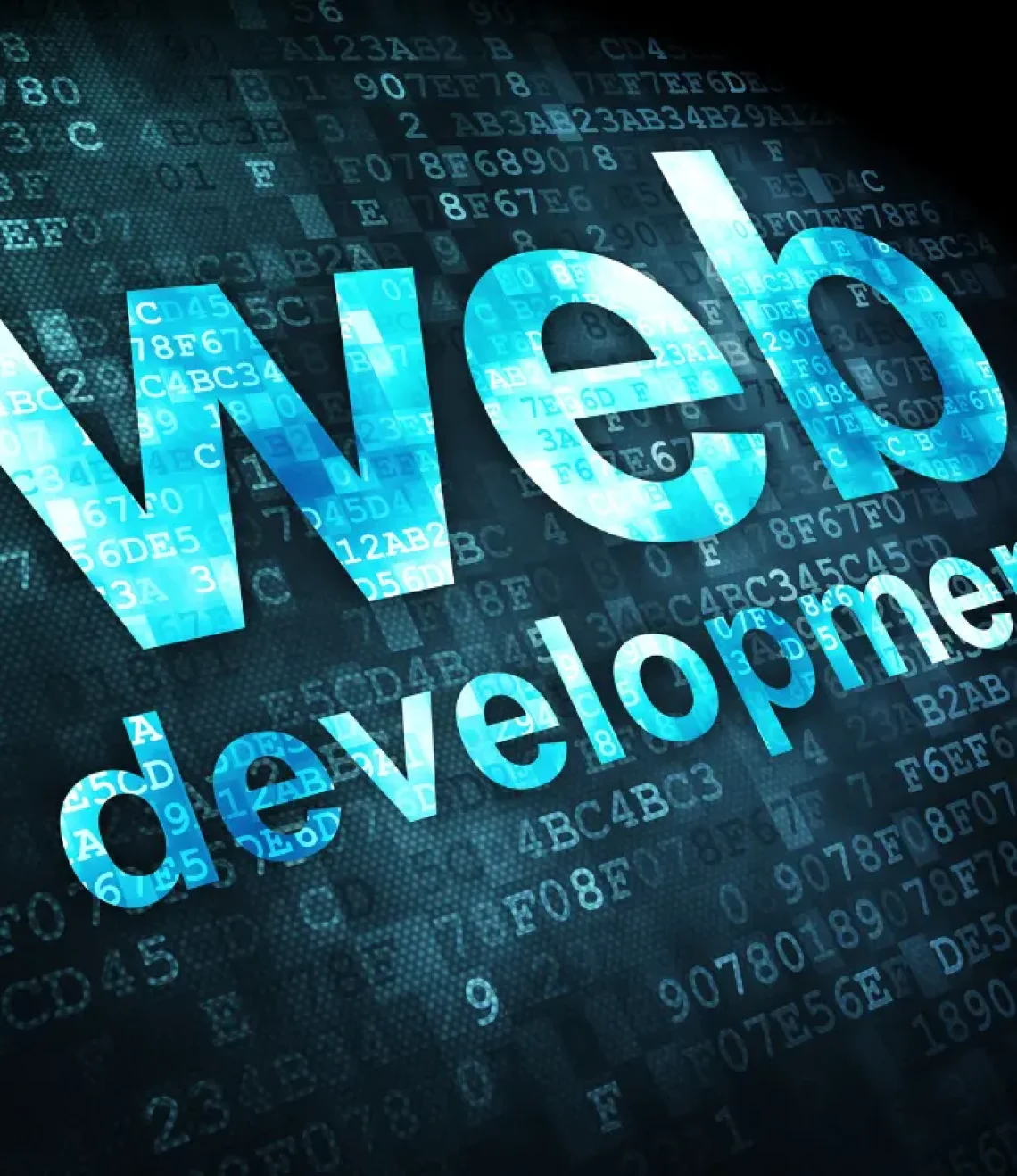 Custom Web Development