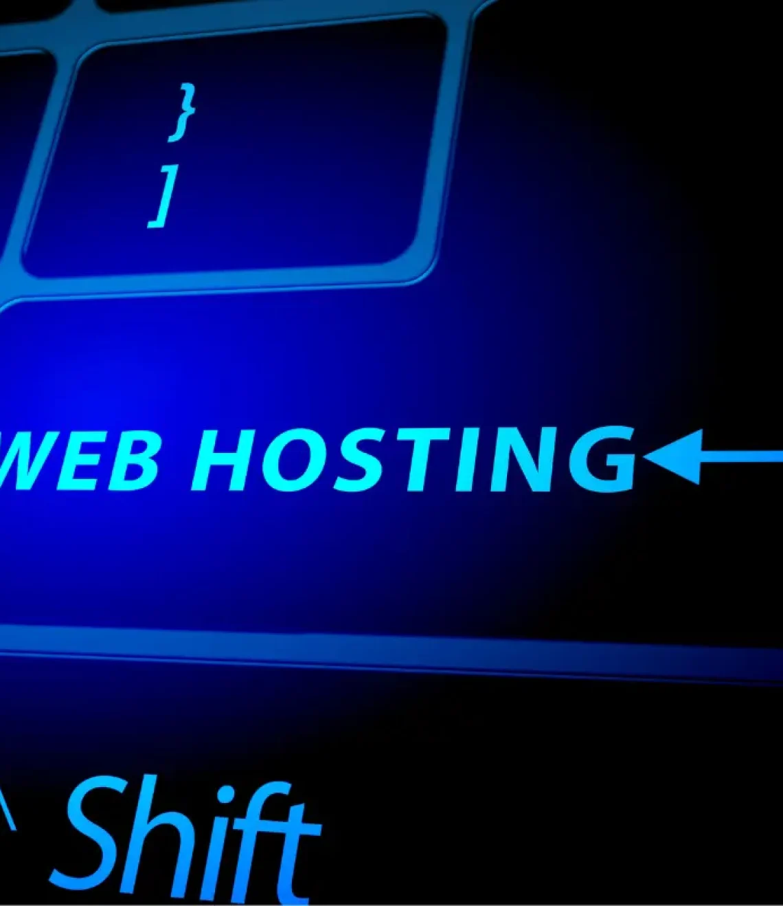 Web Hosting & Domain Services